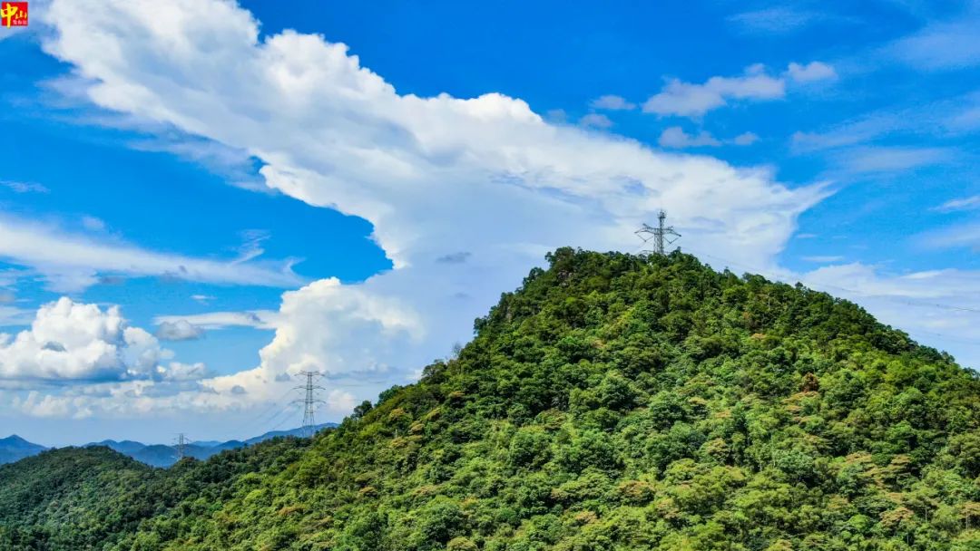 去爬山嗎？在中山發現一個好地方！ 旅遊 第30張