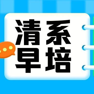 2025年海淀“清系早培”开启报名！！！