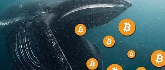 数据：过去一个月有27万枚BTC流入巨鲸手中