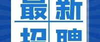 党委办公室党务管理岗招聘启事丨广州软件学院