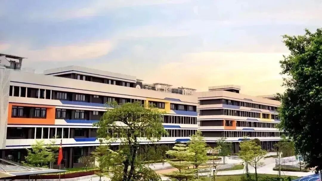 ����˫��ѧУ