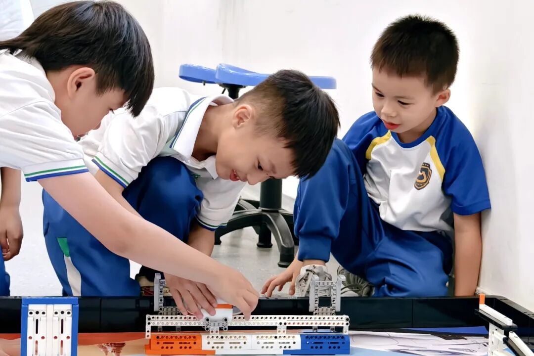 ����˫��ѧУ