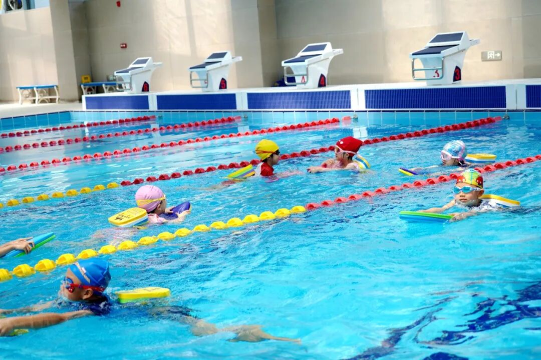 ����˫��ѧУ