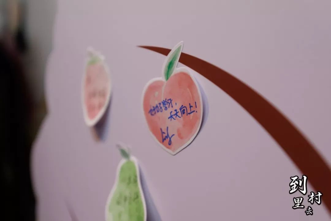 _MG_0441.jpg