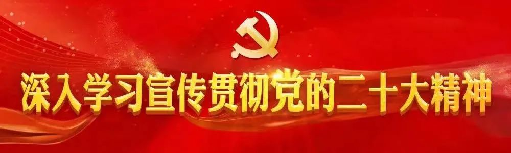 【工作进行时】鸡飞镇：黑山猪养殖 探索致富新路径