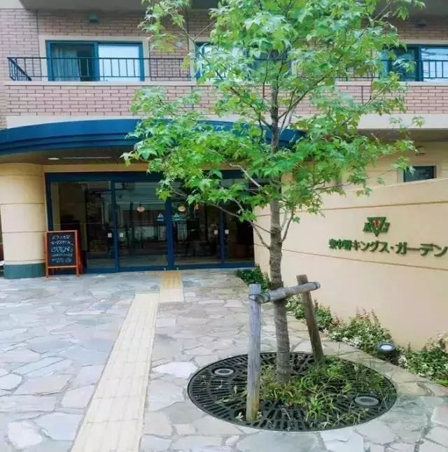 日本养老院护士招聘_颐养院和养老院的区别_红怡院宜春院日本美国十次