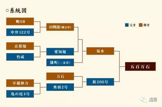 酒米 五百万石 海恩 微信公众号文章阅读 Wemp