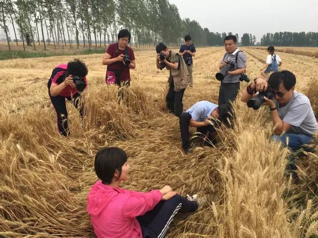 蝶恋花·袭龙生摄觅·袭龙生摄宋淑钢摄宋淑钢摄宋淑钢摄曲济生摄