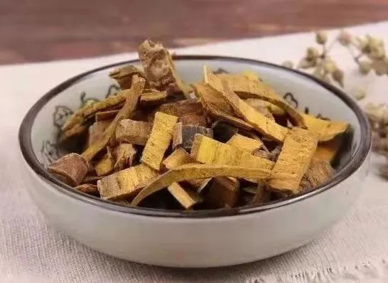 中草药：黄柏的功效与作用