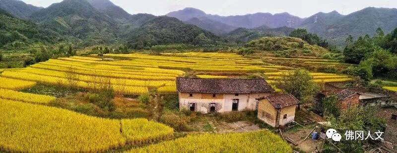 稻田|太美了！清远这个地方美成画卷，还能打卡童话风情小镇！