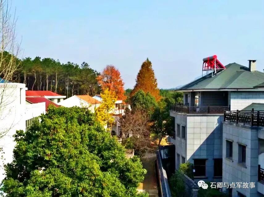 花园村之熊家湾