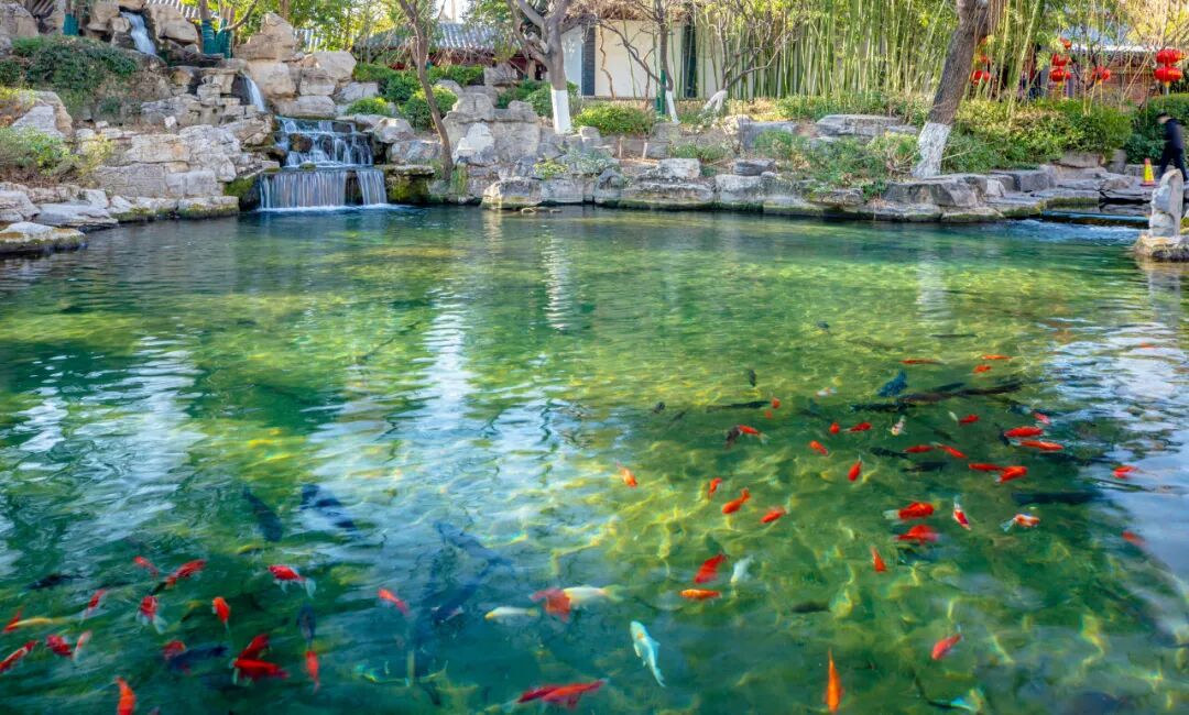 一天在济南怎么玩？收好这份极限一日游攻略出发吧！