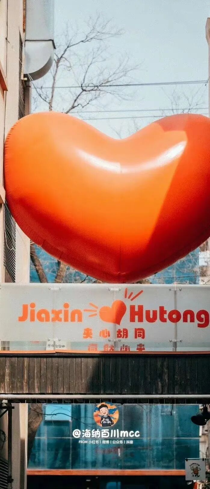 一天在济南怎么玩？收好这份极限一日游攻略出发吧！