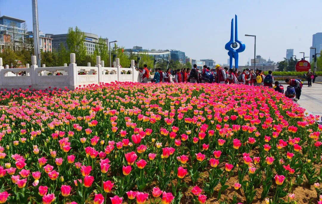 一天在济南怎么玩？收好这份极限一日游攻略出发吧！