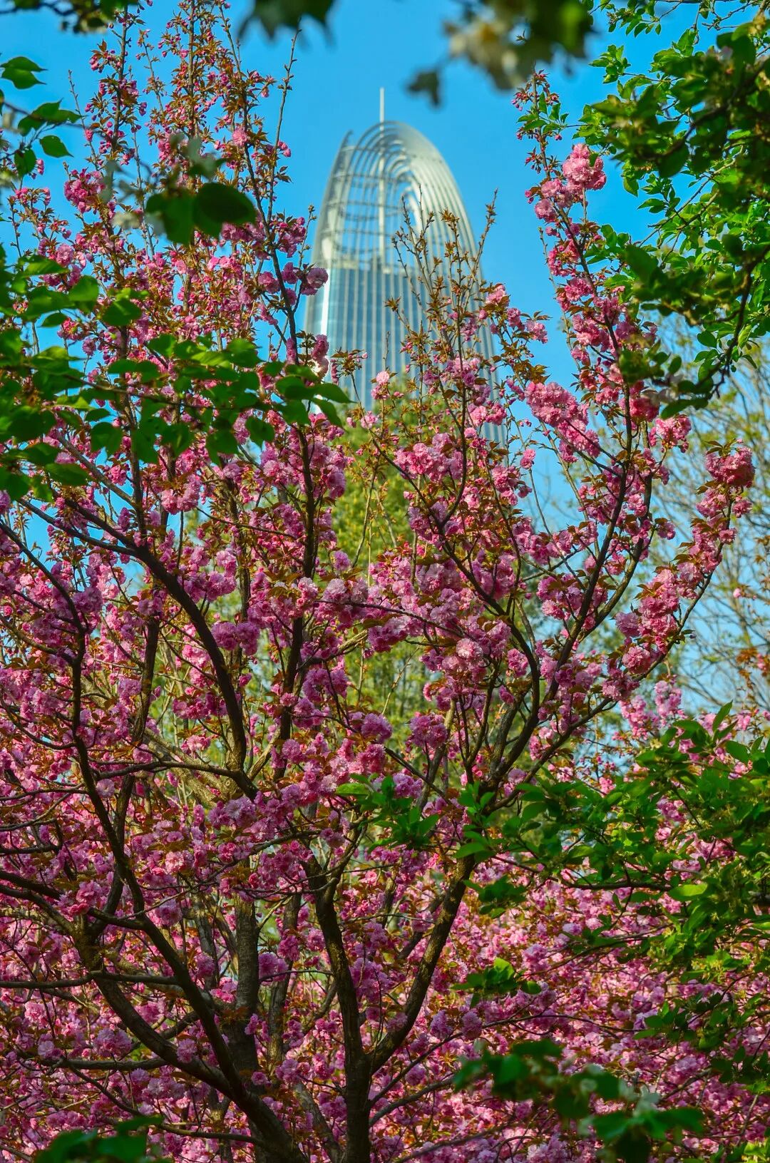 一天在济南怎么玩？收好这份极限一日游攻略出发吧！
