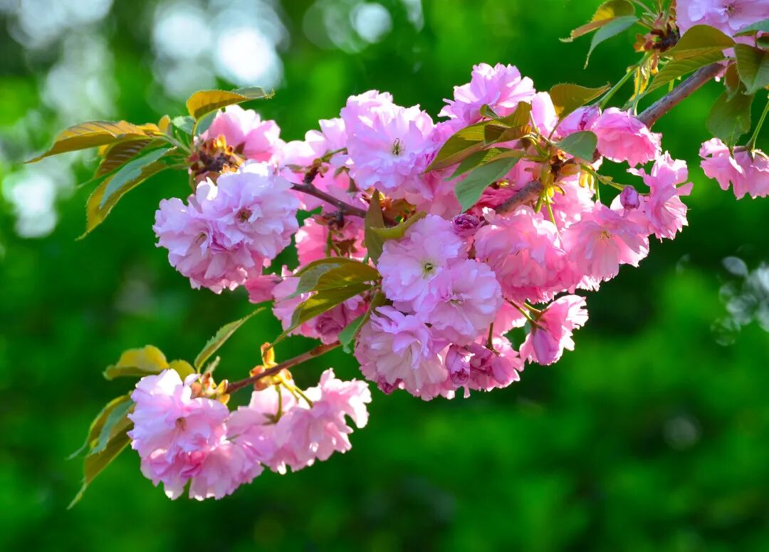 一天在济南怎么玩？收好这份极限一日游攻略出发吧！