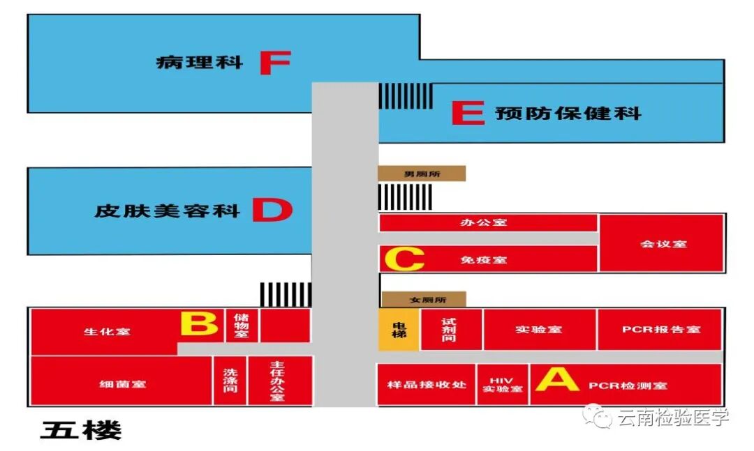 检查采血容器怎么分昆医附一院医学检验科标本采集手册(001／E0版)_https://www.jmylbn.com_新闻资讯_第9张