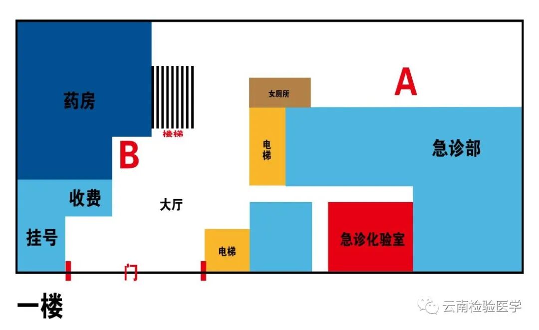 检查采血容器怎么分昆医附一院医学检验科标本采集手册(001／E0版)_https://www.jmylbn.com_新闻资讯_第7张