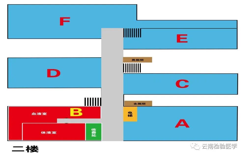 检查采血容器怎么分昆医附一院医学检验科标本采集手册(001／E0版)_https://www.jmylbn.com_新闻资讯_第8张