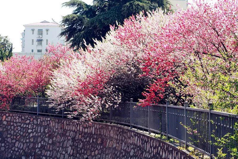 江苏城市职业学院院系_江苏城市职业学院校风_江苏城市职业学院