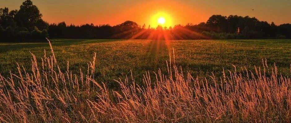 贾平凹《废都》最经典的23句话，揭露世间百态！