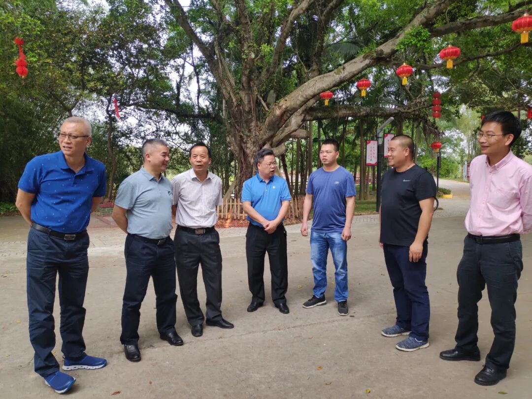 创塑特色推动发展开平市人大常委会领导到马冈镇调研