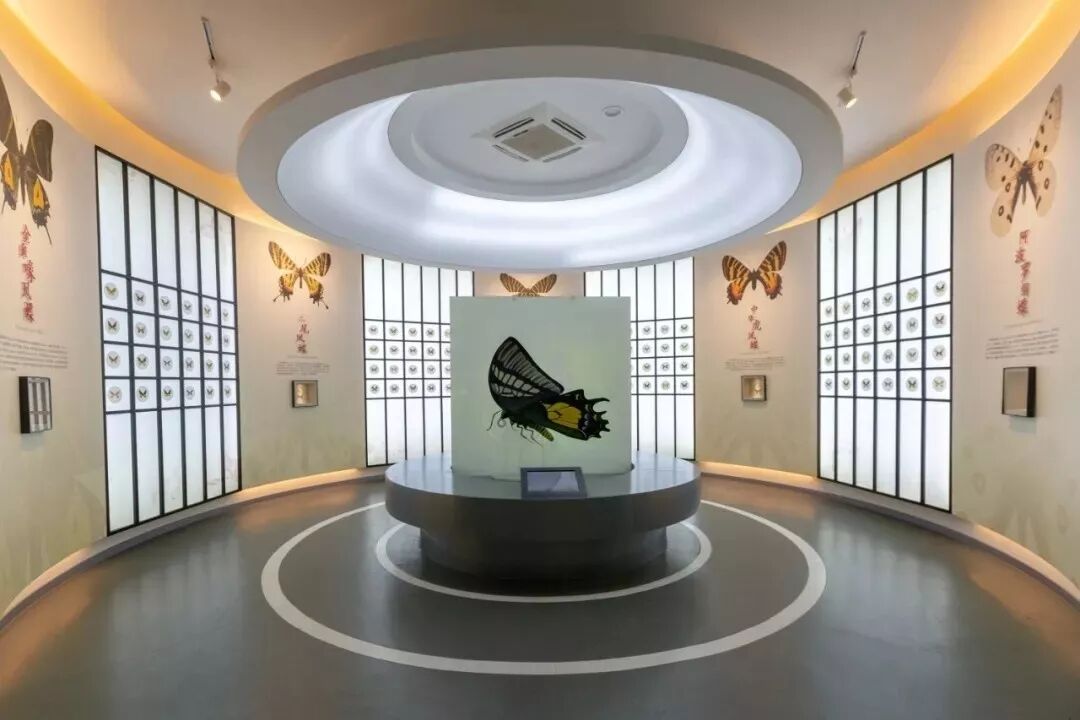 2020航空夏令营-3686 