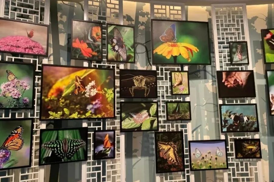 2020航空夏令营-3100 