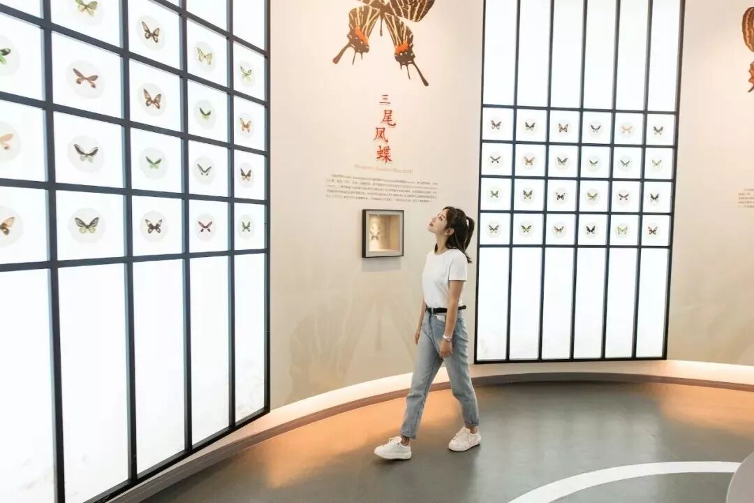 2020航空夏令营-9224 