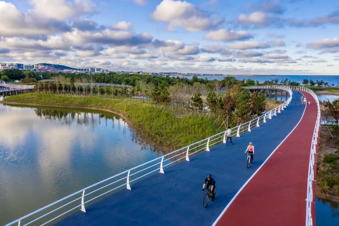 绿道骑行.jpg
