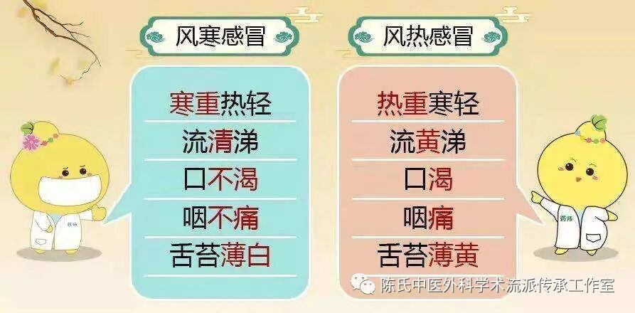 风热感冒该如何选择中成药，一文告诉你