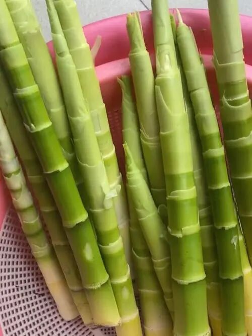 AED怎么自检女性做痔疮手术的危害？花一分钟自检一下,还是很准的!_https://www.jmylbn.com_新闻资讯_第6张