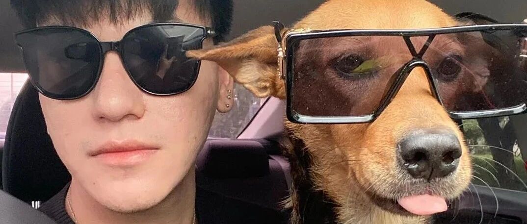 肌肉小哥醉酒后强抱大黄狗回家，醒来一脸懵…最后结局太暖啦！