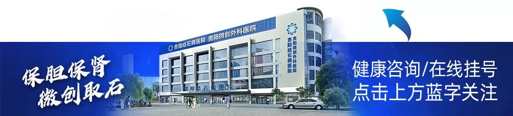 什么是输尿管纤维镜一文了解：纤维软性肾镜取石术-上海聚慕医疗器械有限公司