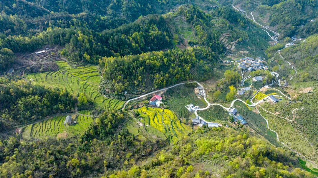 绿水青山就是金山银山 鸟瞰天宝村全貌 2023年3月拍摄于双龙镇天宝村--邵向东.jpg
