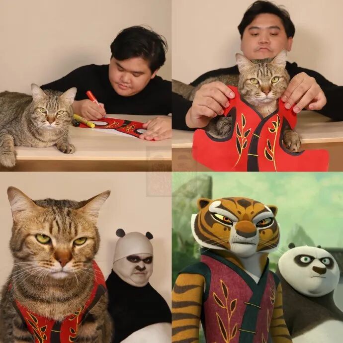 泰国小哥新作,功夫熊猫.