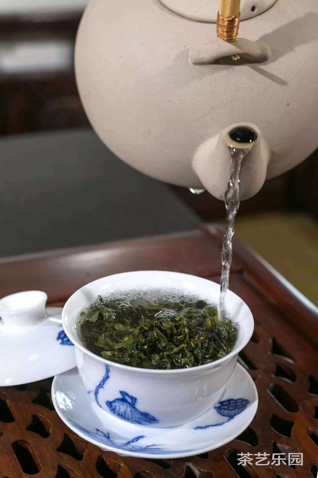 乐园好茶年轻人的铁观音