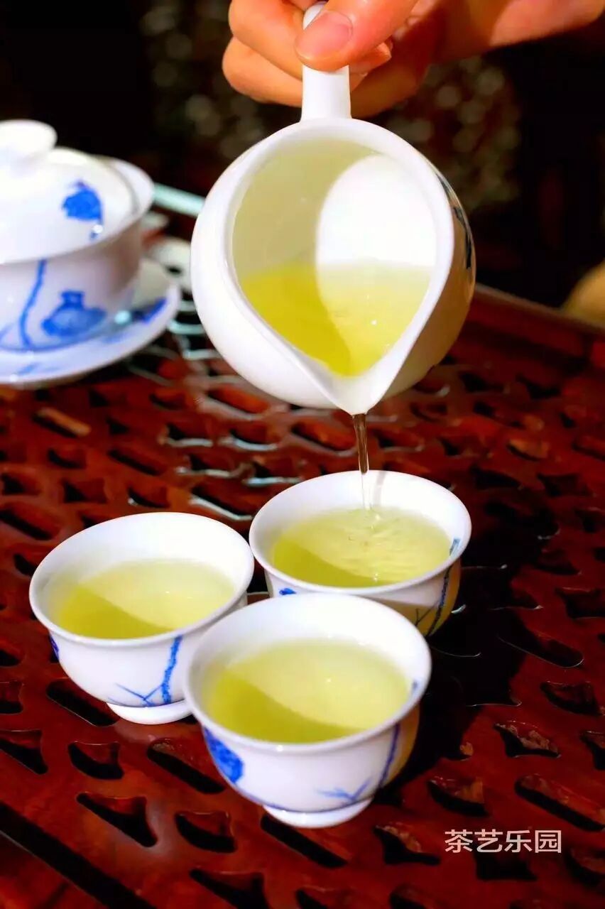 乐园好茶年轻人的铁观音