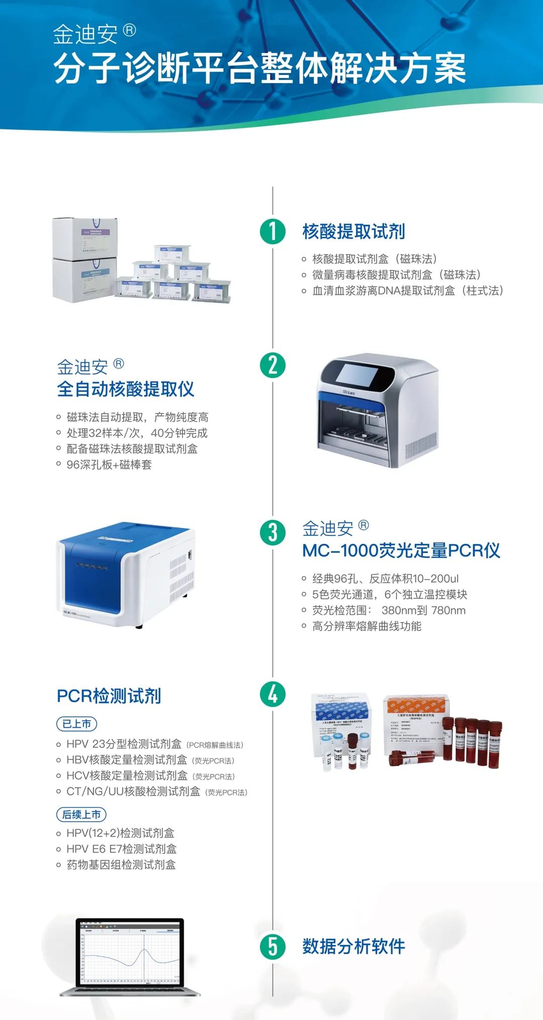 沙眼衣原体核酸检测阴性