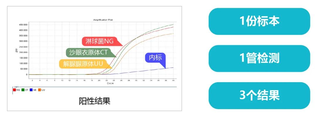 沙眼衣原体核酸检测阴性