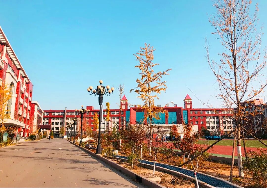 賀陽國際學(xué)校地址_賀陽國際學(xué)校怎么樣_賀陽國際學(xué)校學(xué)費(fèi)多少