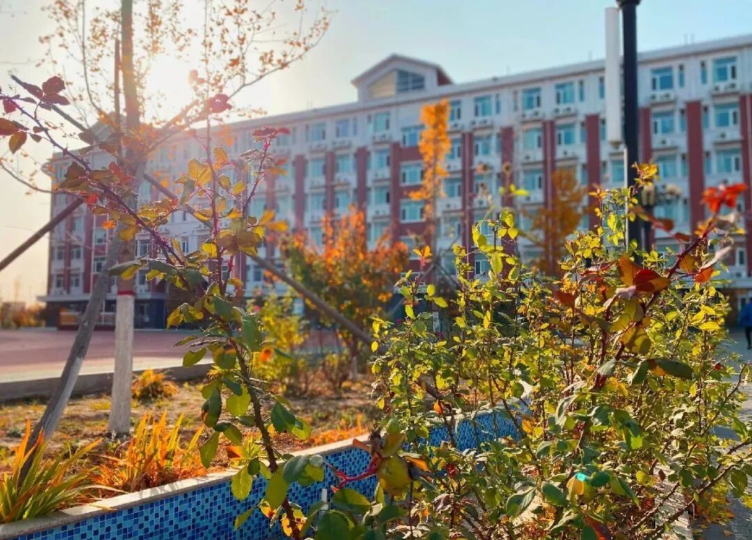 賀陽國際學(xué)校地址_賀陽國際學(xué)校怎么樣_賀陽國際學(xué)校學(xué)費(fèi)多少