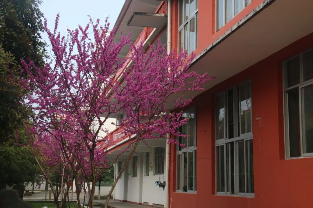 最新上犹中学计划招1313人