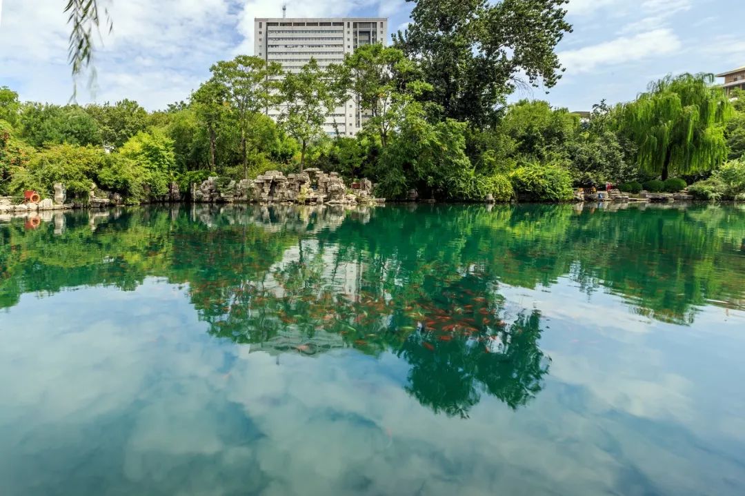 北方專屬的溫婉，盡在這座低調而大氣的省會城市 旅遊 第3張