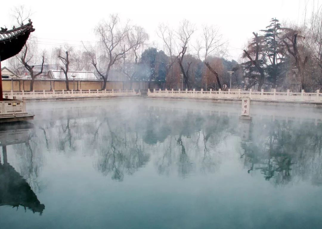 北方專屬的溫婉，盡在這座低調而大氣的省會城市 旅遊 第6張