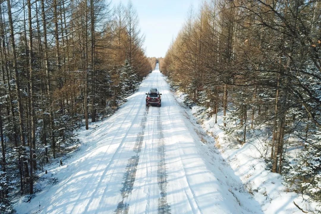 向北出發，穿越林海雪原 旅遊 第5張