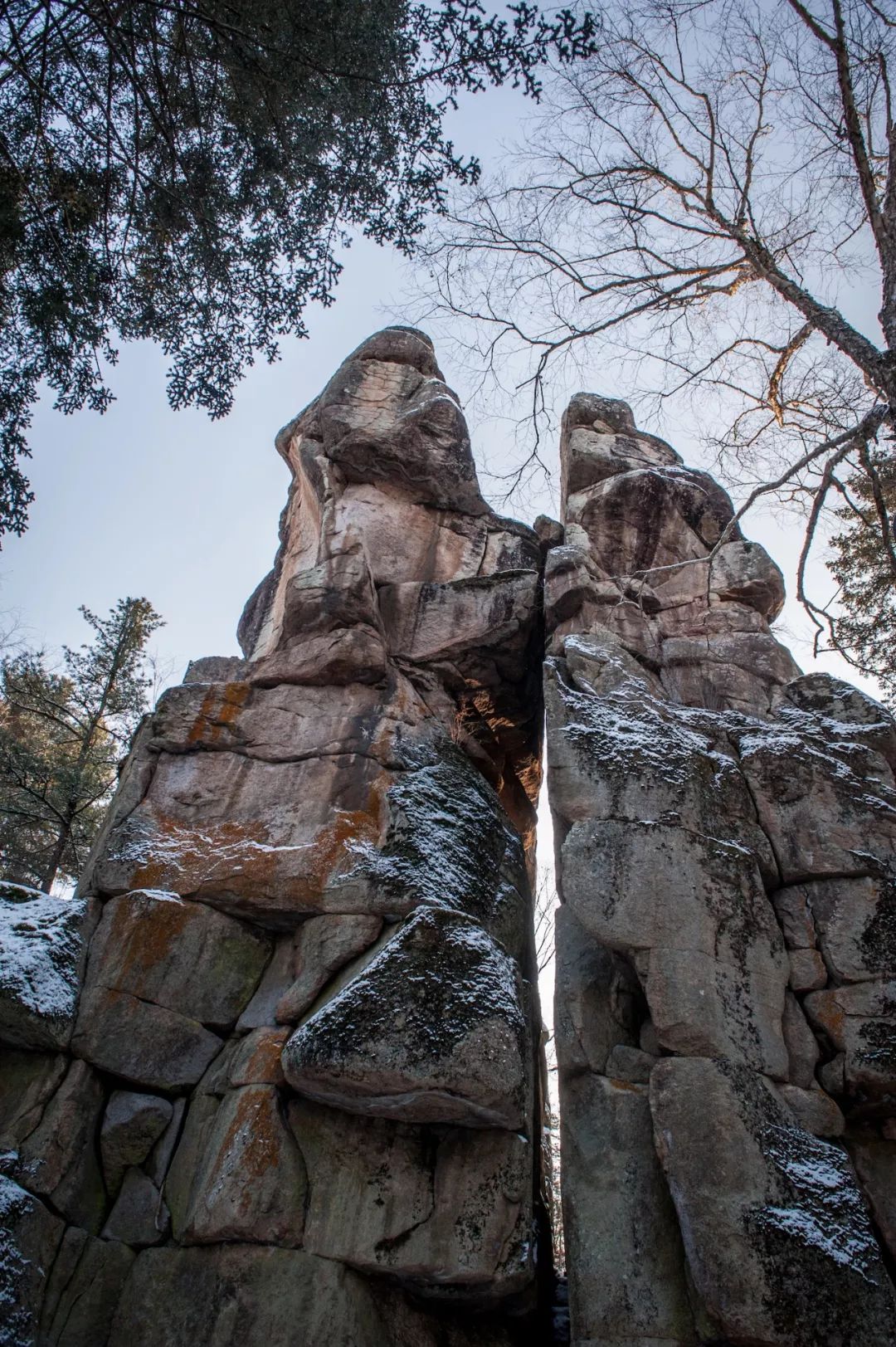 向北出發，穿越林海雪原 旅遊 第10張