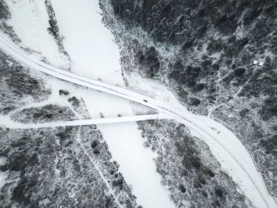 向北出發，穿越林海雪原 旅遊 第9張