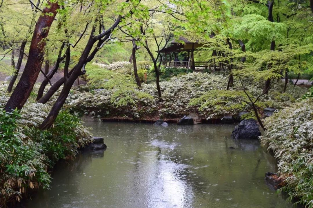 橋豆麻袋！這個地方今明兩年都那麼精彩？ 旅遊 第17張