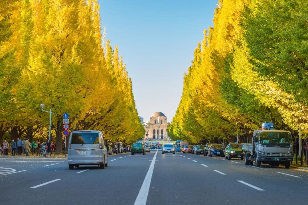 橋豆麻袋！這個地方今明兩年都那麼精彩？ 旅遊 第16張